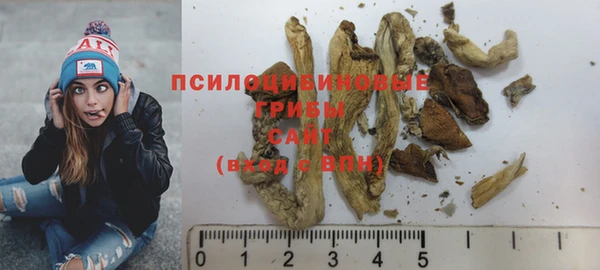 МДПВ Алексеевка