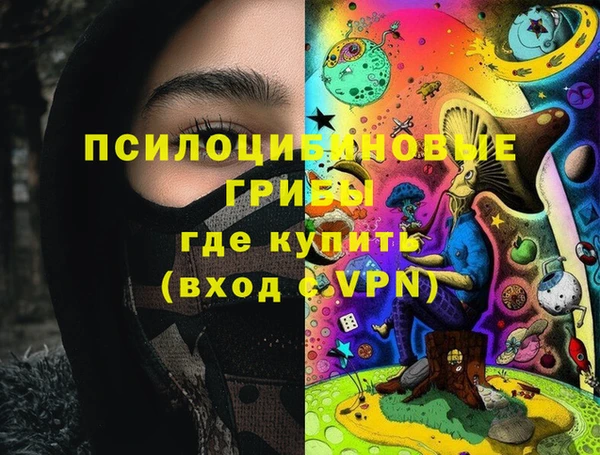 дживик Абинск