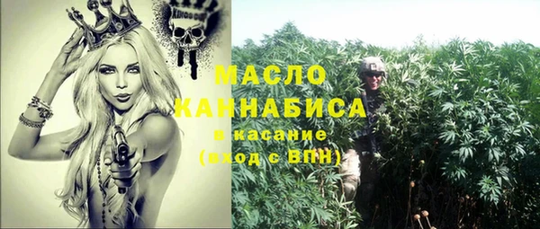 дмт Абаза
