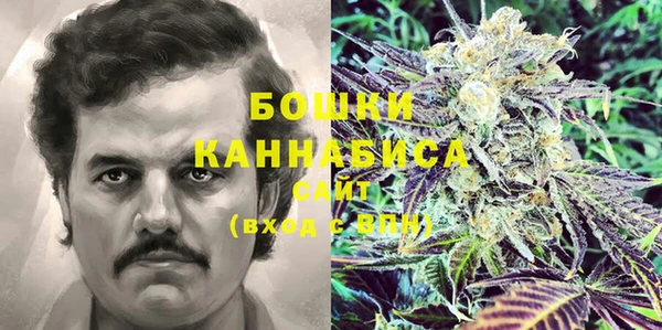 дмт Абаза