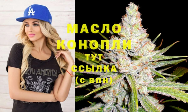дживик Абинск