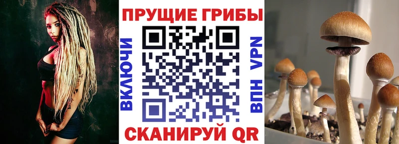 Псилоцибиновые грибы мухоморы  гидра вход  Владикавказ 